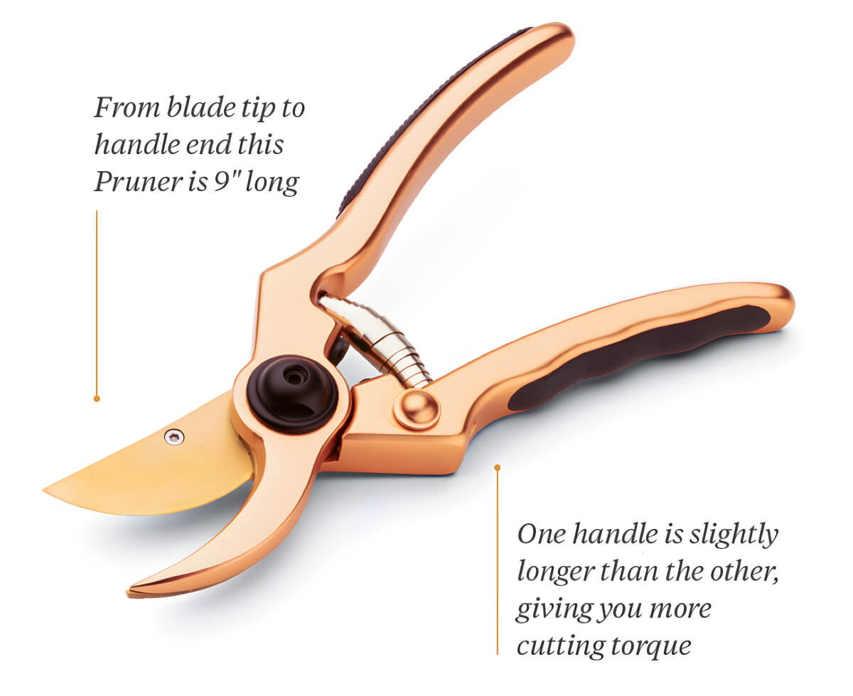 Rose Gold Pruner