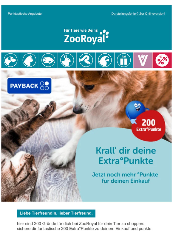 Krall dir 200 PAYBACK Extra°Punkte auf deinen Einkauf 💙