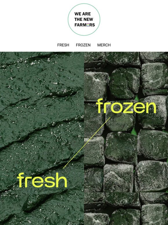 ✅ Are You Team Fresh Or Frozen?