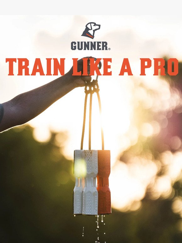 Train like a Pro