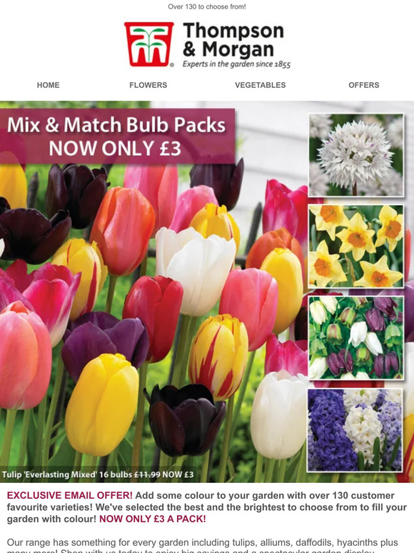 Thompson & Only £3! Mix & Match Bulb Packs Milled