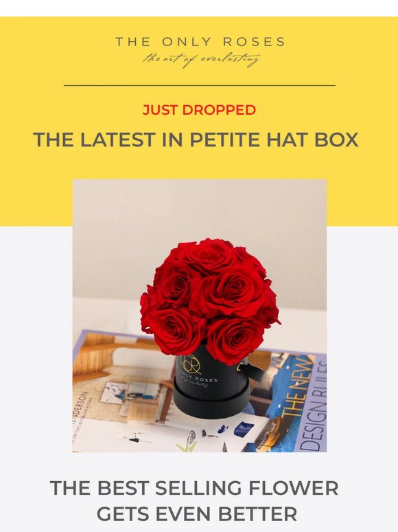 🎉 It’s here: Petite Hat Box Dome Design are now available!
