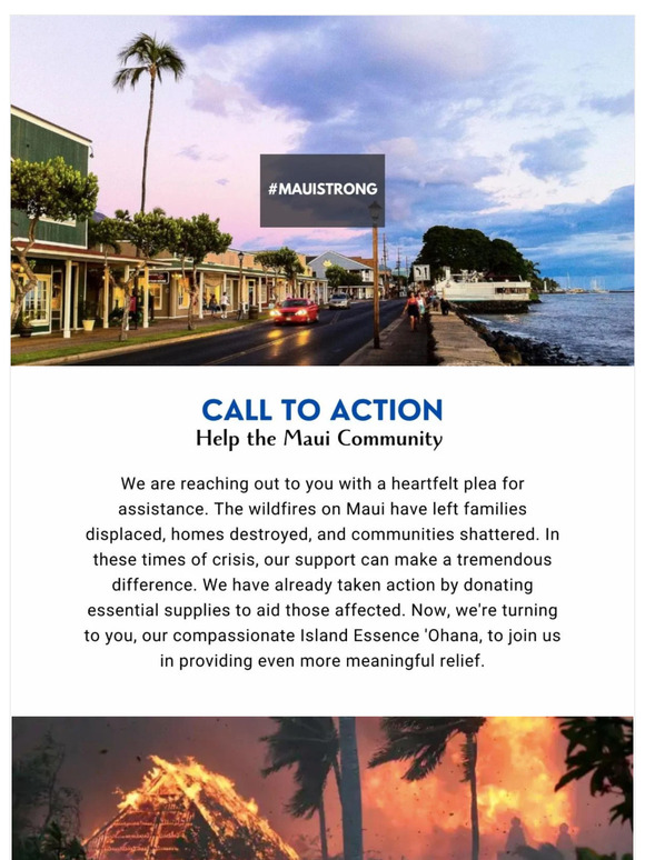 Your Help Matters! How To Support Our Maui Communities