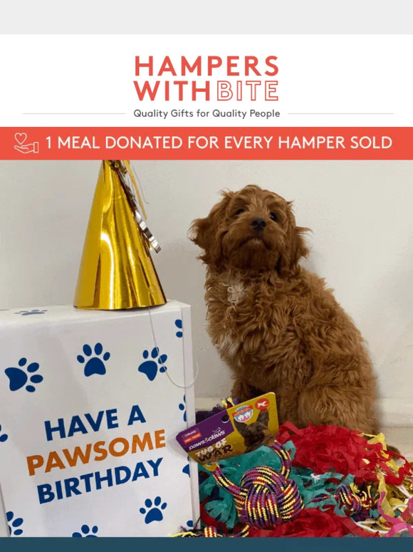 PAWSITIVELY exciting news 🐾