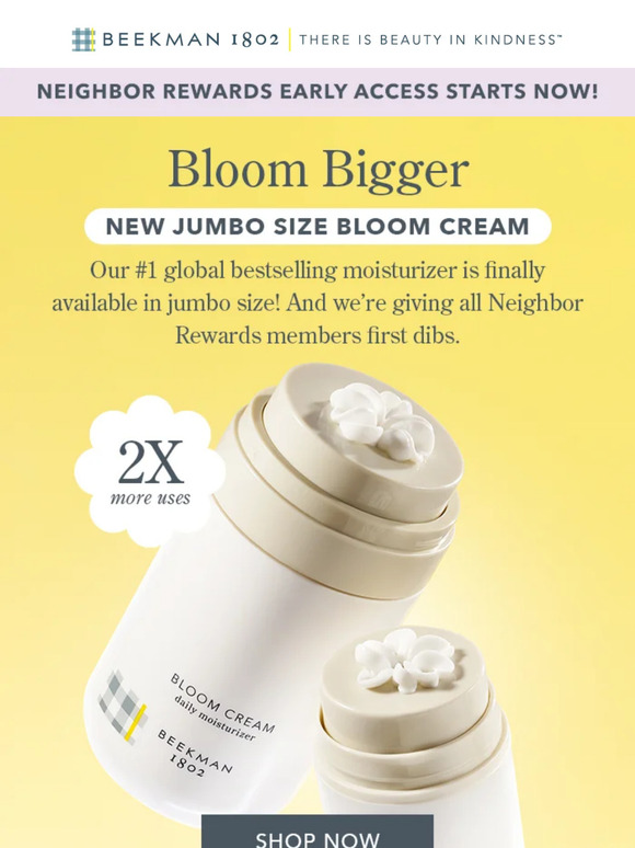 Beekman1802: 🚨EARLY ACCESS! Bloom Cream XL🚨 | Milled