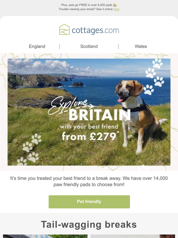 Explore Britain with your best friend🐾