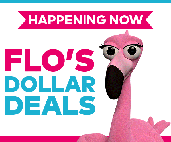 Oriental Trading Company: Save 💲💲 with Flo's Dollar Deals! Shop for ANY  Occasion!