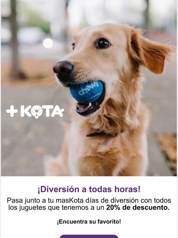 🐾Diversión a todas horas🎾