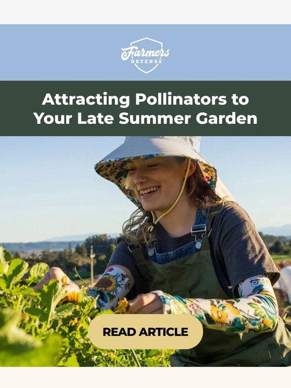 Farmers Defense: How to attract pollinators to your summer garden? | Milled