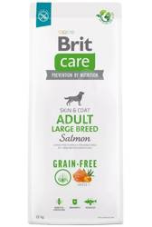 Brit care dog grain-free adult large breed salmon 12kg - sucha karma dla dorosłych psów dużych ras,