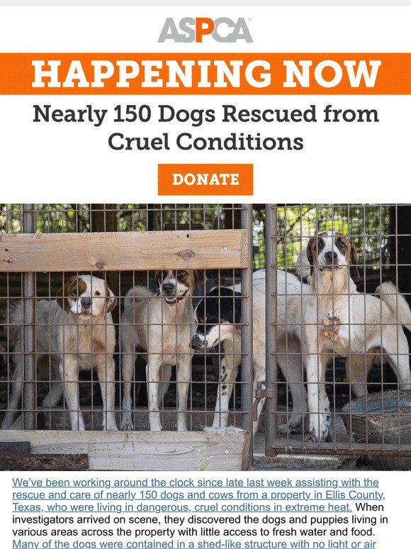 URGENT: Nearly 150 Animals Rescued