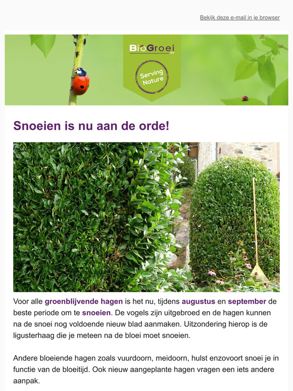 🐞  Nu engerlingen bestrijden | Bescherm je fruit tegen fruitvliegen