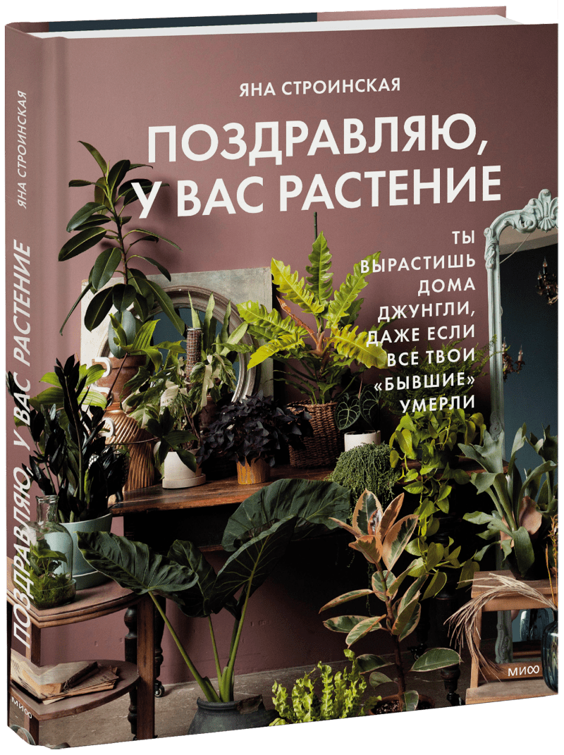 Издательство «МИФ»: 🌿 Поздравляем, у вас растение! Тропический сад у вас  дома. Даже если все бывшие «того…» | Milled