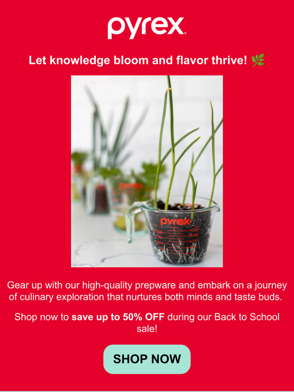 🌱 We'll help you grow during our Back to School Sale