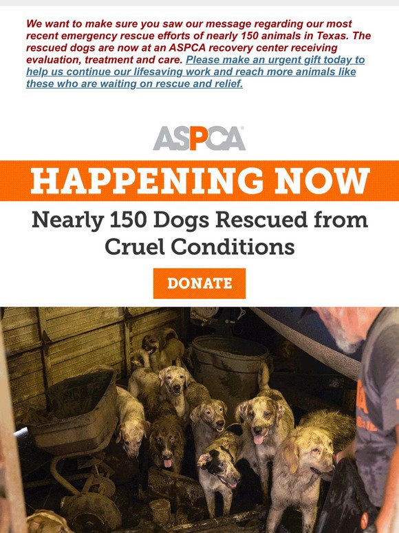 Happening Now: Nearly 150 Animals Rescued