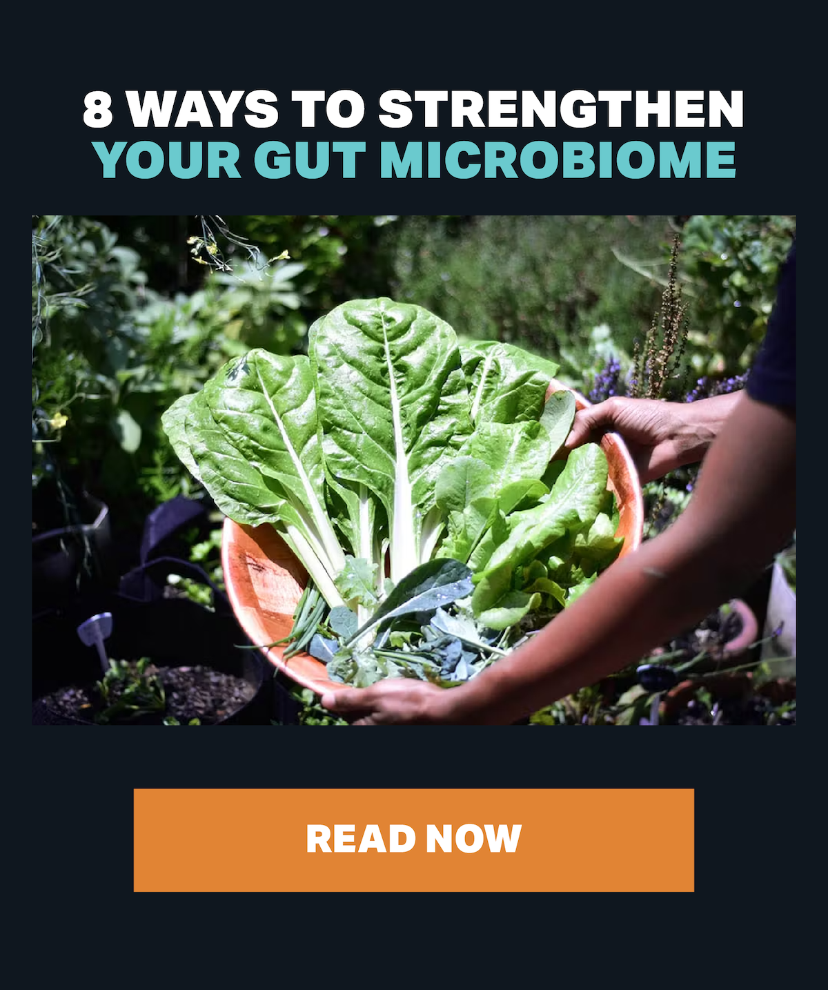 Lifeforce: 8 ways to strengthen your gut microbiome | Milled