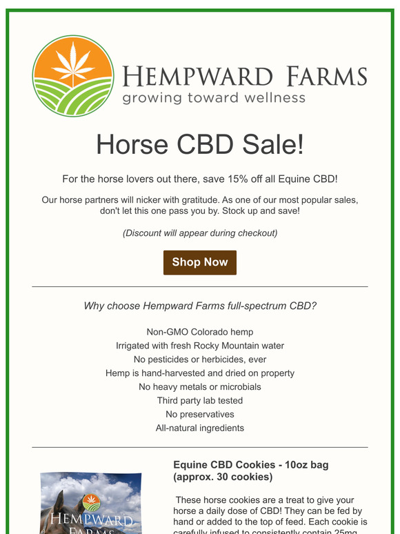 Equine CBD Sale