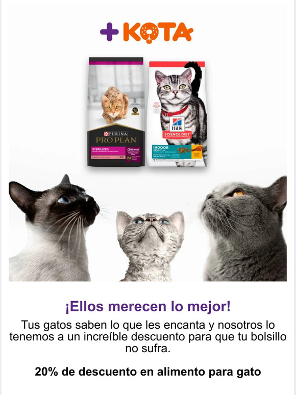 Ellos merecen lo mejor😻