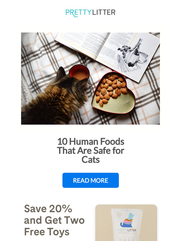 PrettyLitter CA 10 Best Human Foods to Share With Your Cat Milled