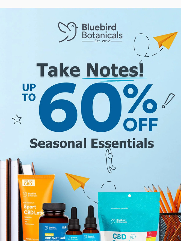 Focus... The Back to School Sale is ON! 🍎📚