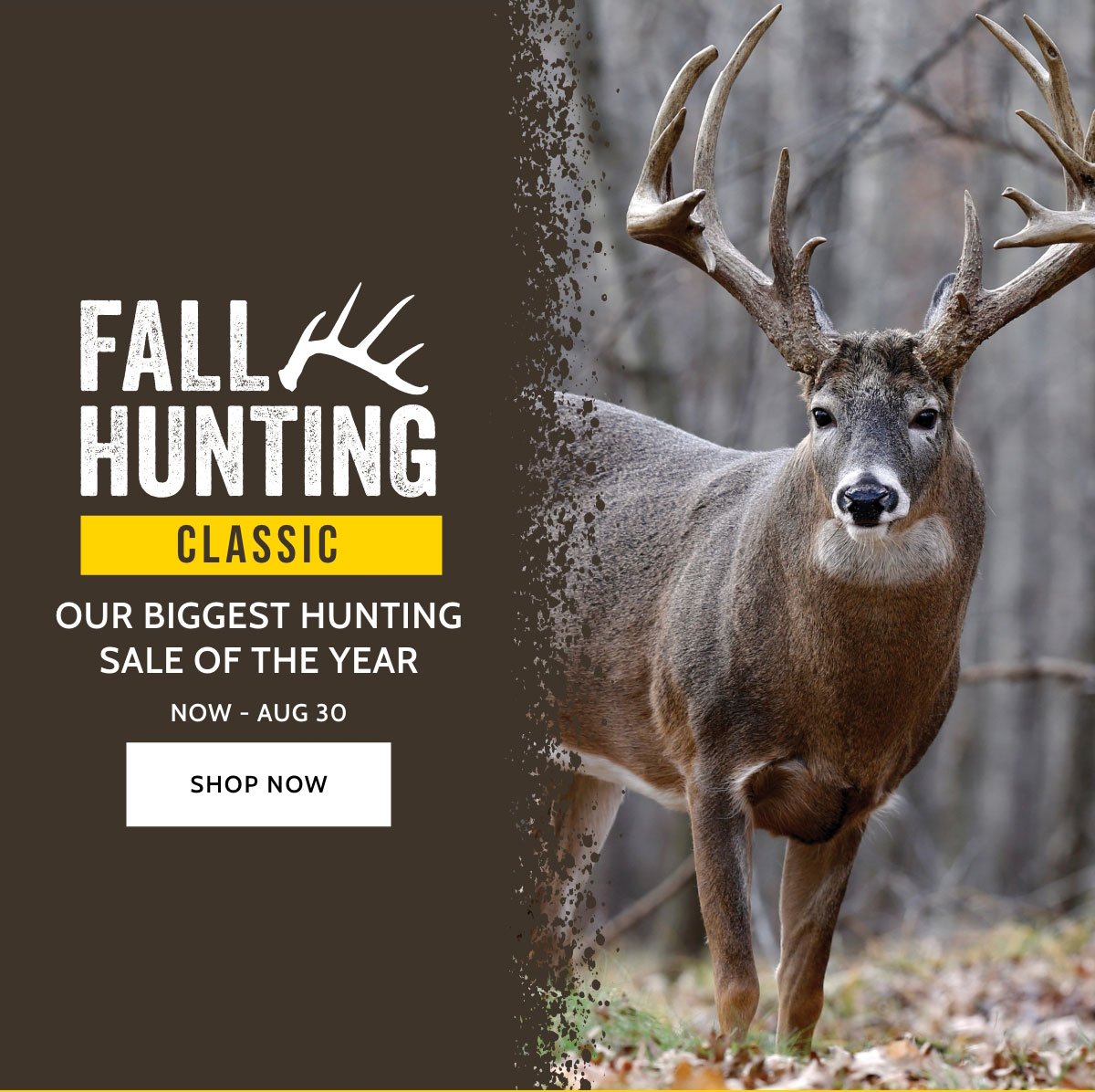Bass Pro Shops & Cabela's are stocked and ready for deer season