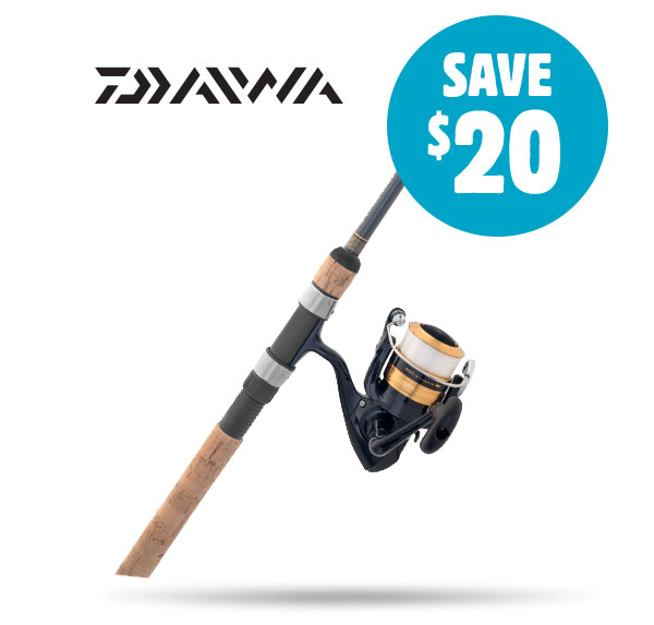 Daiwa D-Shock Spin Combo