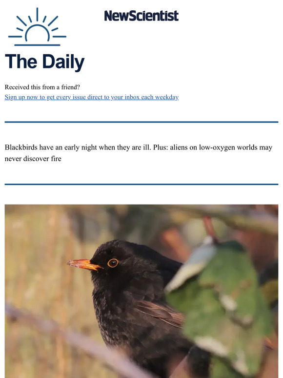 New Scientist Sick birds go to bed early too Milled