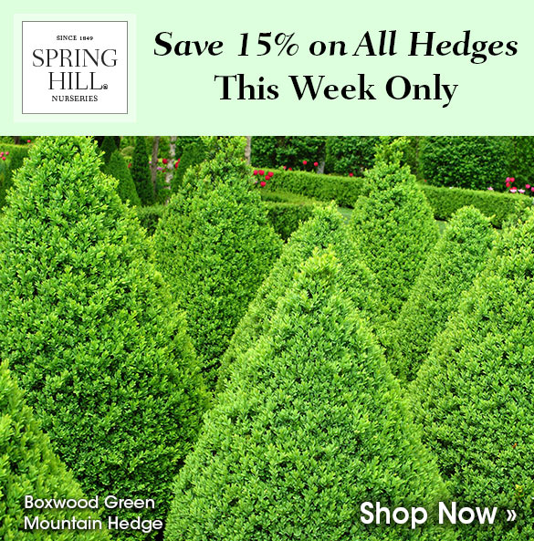 15% Off All Trees & Shrubs