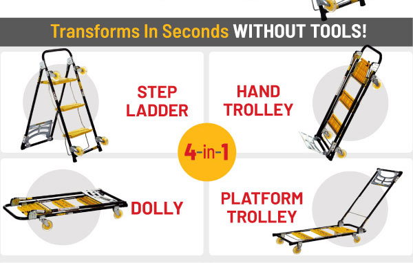 4-in-1 Ladder Offer