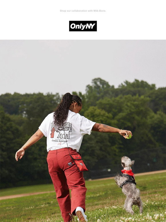 Only NY: Only NY x Milk-Bone 🦴 | Milled