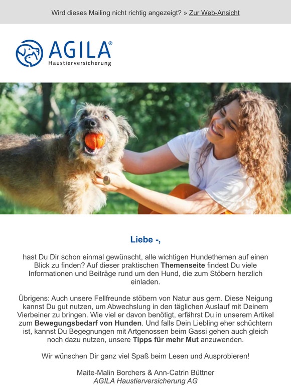 Thema Hund: Der Vierbeiner im Mittelpunkt