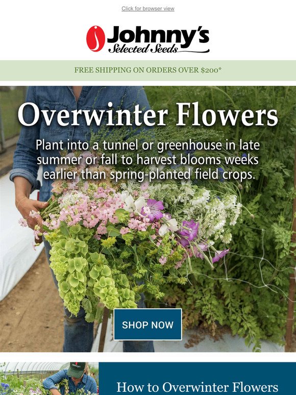 Overwinter Flowers for an Early Spring Harvest