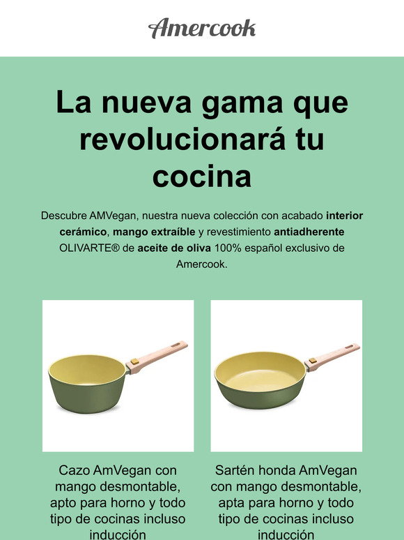 Cazo AmVegan con mango desmontable, apto para horno y todo tipo de coc –  Amercook Europe