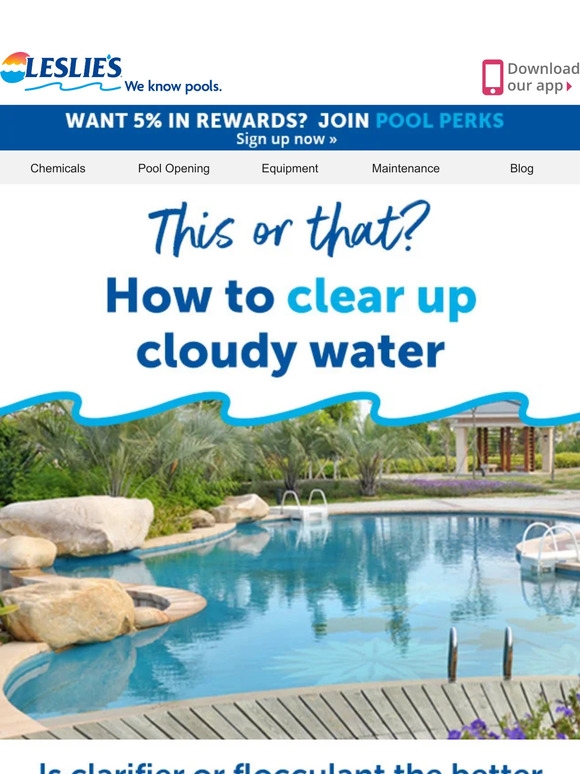 Leslie's Pool Supply ️ What's Best? Floc vs. Clarifier 🤔 [Read Now
