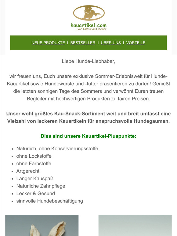 SOMMERHUND – was ist denn das?