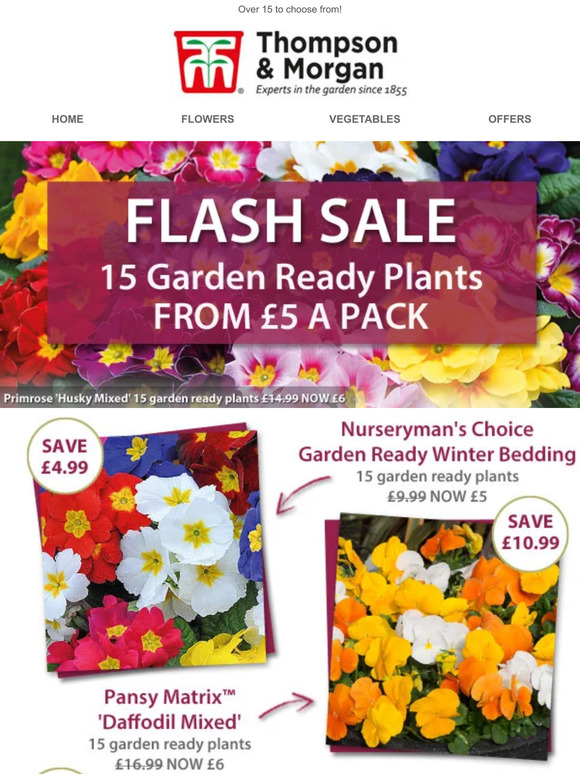 Thompson & 15 Garden Ready Plants FROM £5 A Pack! Mix & Match