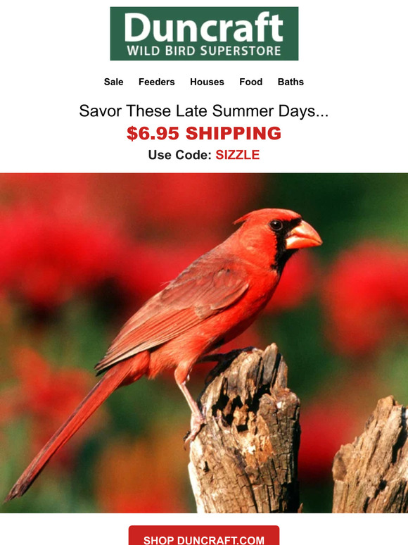 Duncraft Savor These Late Days of Summer! 🐦 Milled