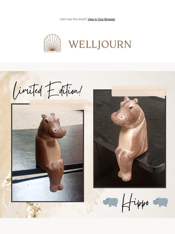 🦛 A New Shelf Sitter is Coming this Fall!
