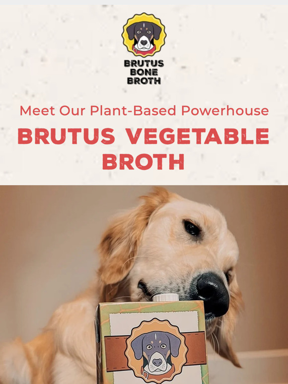 Meet our vegetable powerhouse 🌱🐶