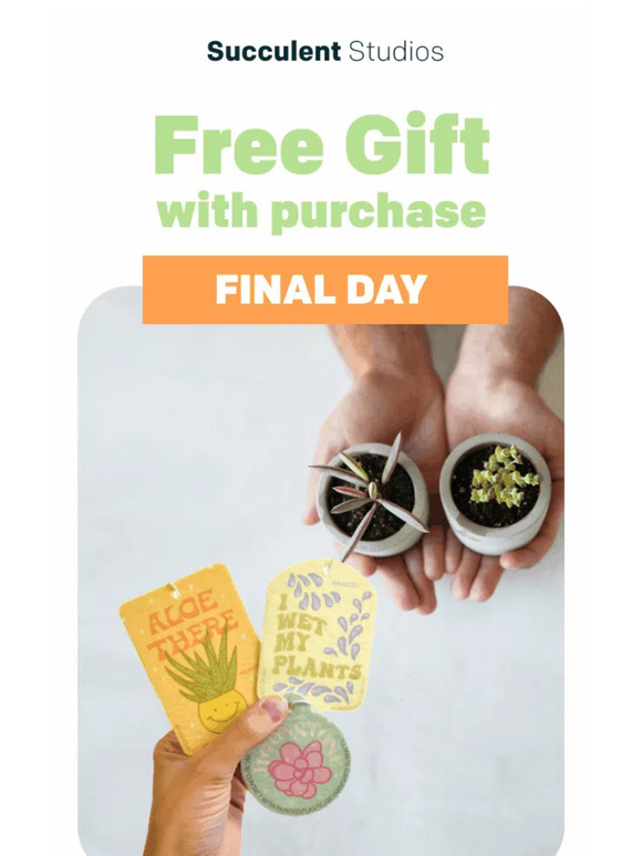 ⏰ LAST Chance for this FREE gift + FREE shipping!