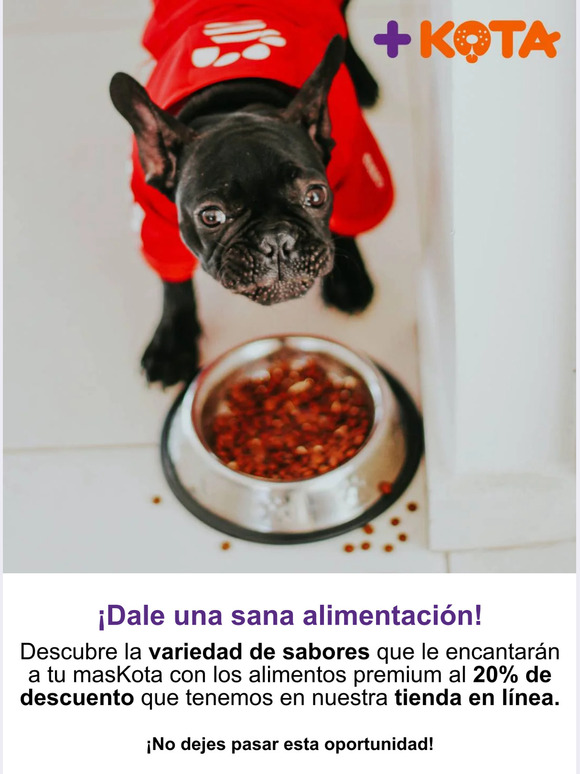 💜Dale una sana alimentación🐶