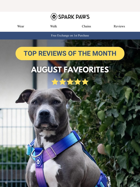 August Faves: Top Reviewed Products😍