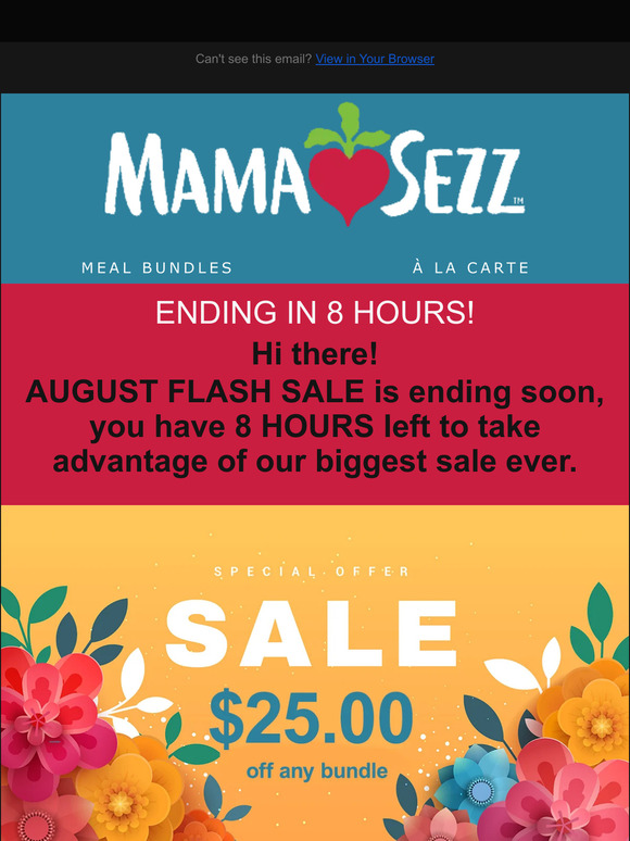 🎉HUGE AUGUST SALE ENDING SOON!