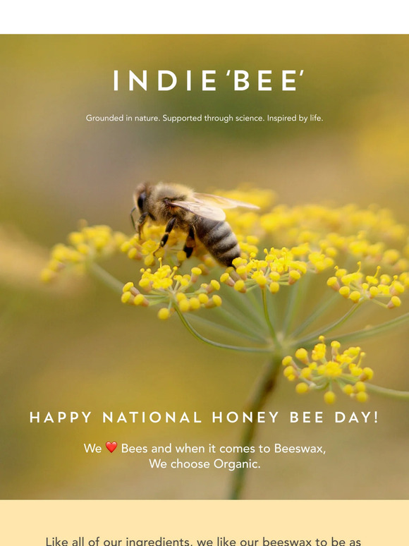 Happy National Honey Bee Day! 🐝