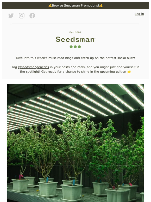 SeedsMan In your weekly update The ultimate hydroponics grow guide!😎 Milled