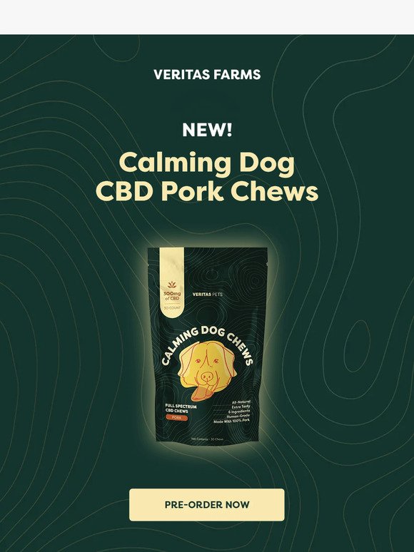 Dog Calming Chews are Back & BETTER 🐶