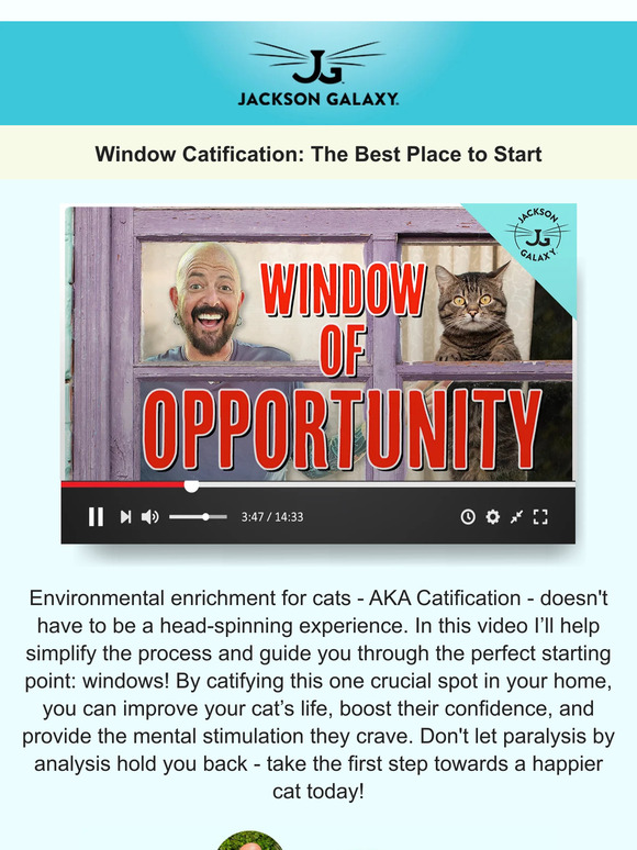 Want to catify your home? Not sure where to start?