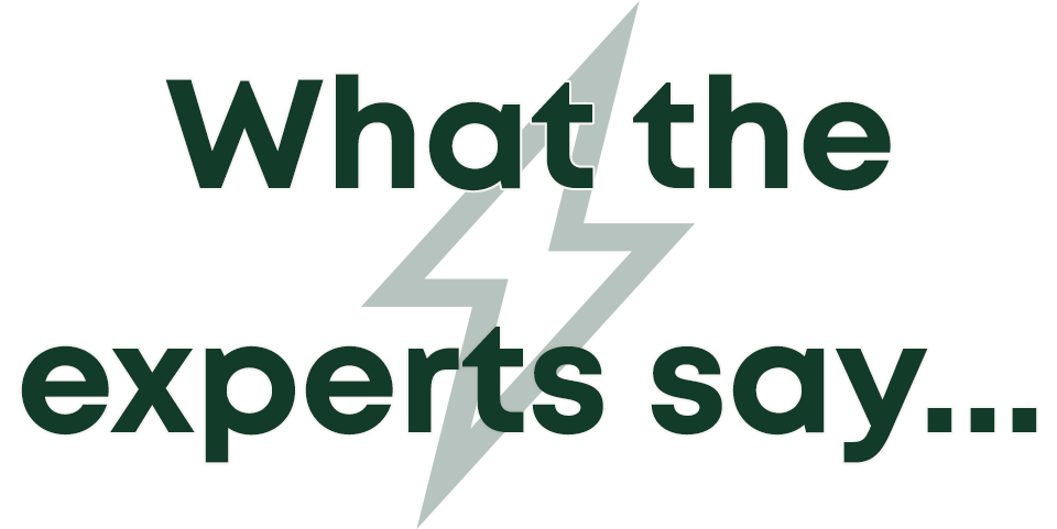 Image: What the experts say