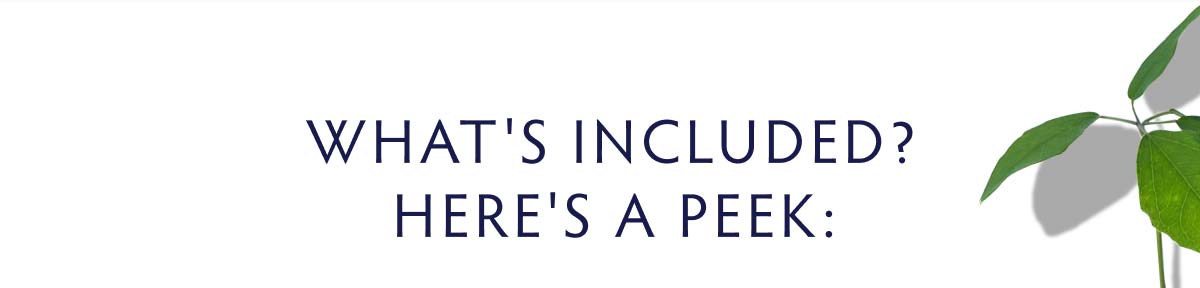 What's included? Here's a Peek: