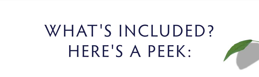 What's included? Here's a Peek: